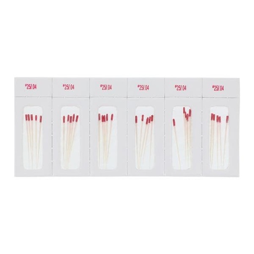 Absorbent Points Size 25 0.04 180/Bx