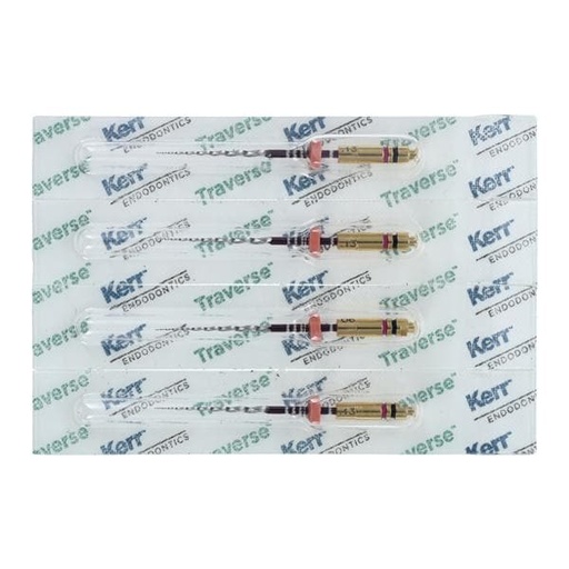 Traverse Root Canal Prep Endo File 25 mm Size 0.06 0.13 4/Bx