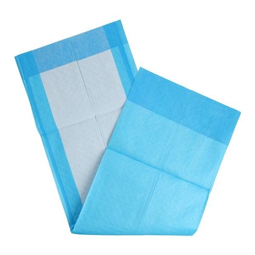 Incontinence Underpad Unisex 23x24" Light Absorbency White/Blue 200/Ca