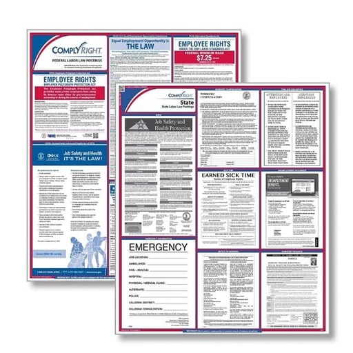 Poster Federal & State Labor Law South Carolina English 24 in x 32.75 in Ea