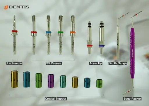 Dentis Save Sinus Kit